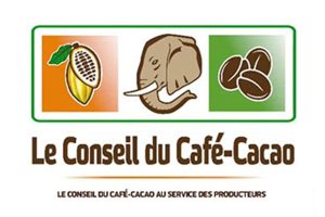 CONSEIL CAFE